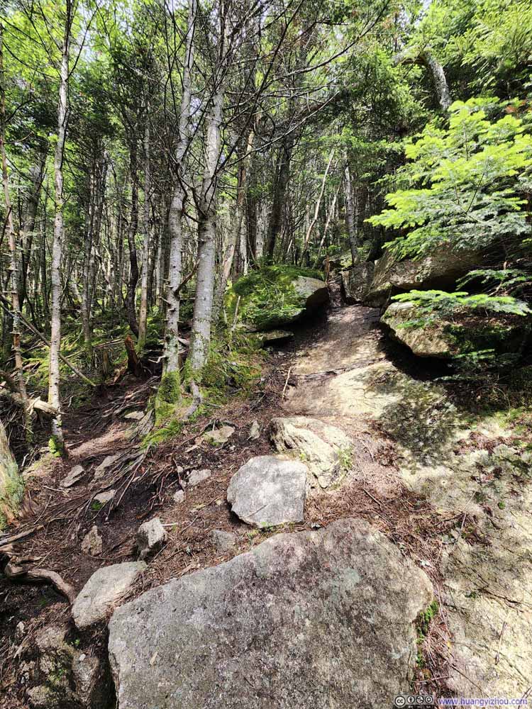 Trail