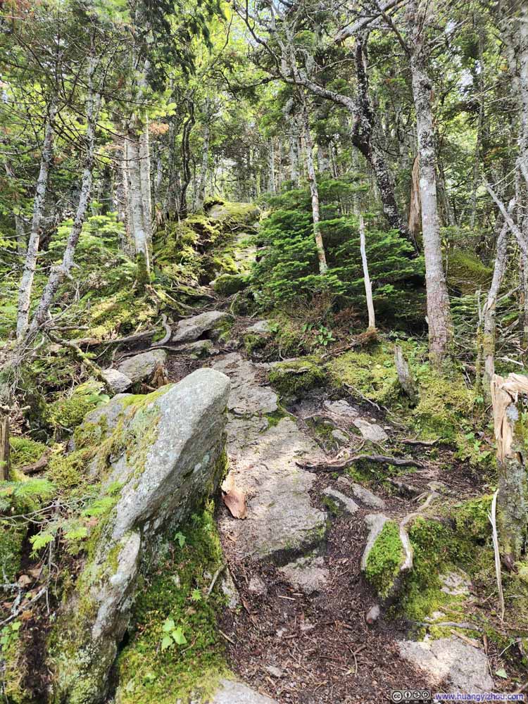 Trail