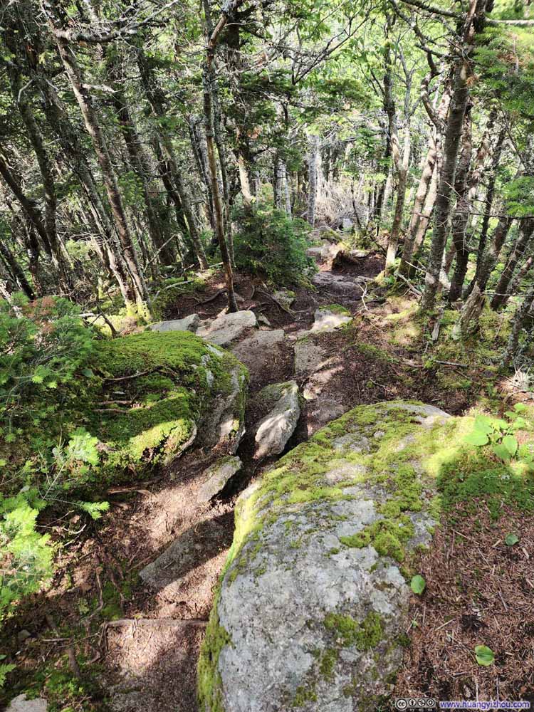 Trail