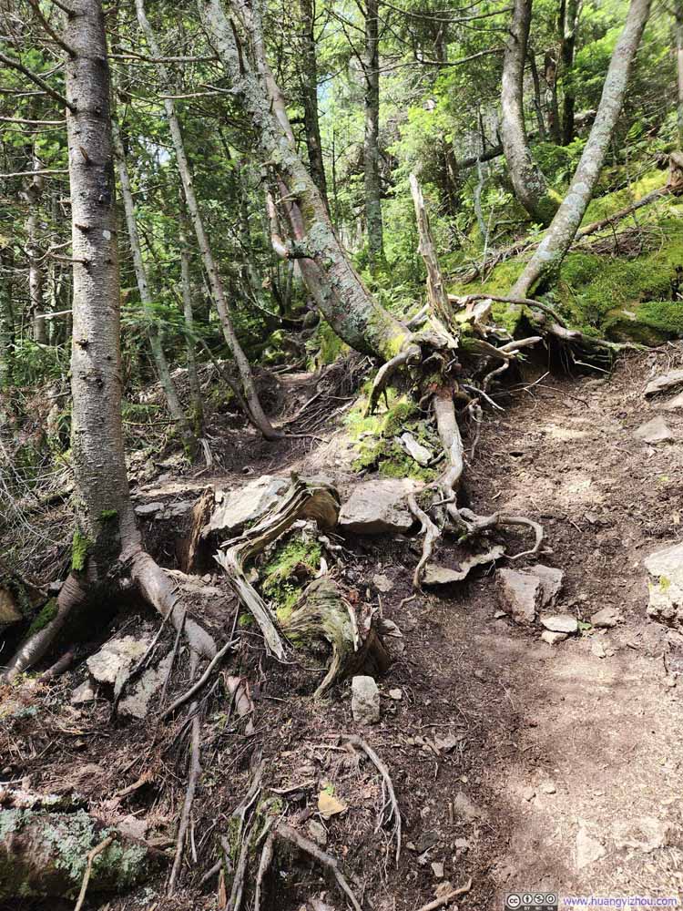 Trail