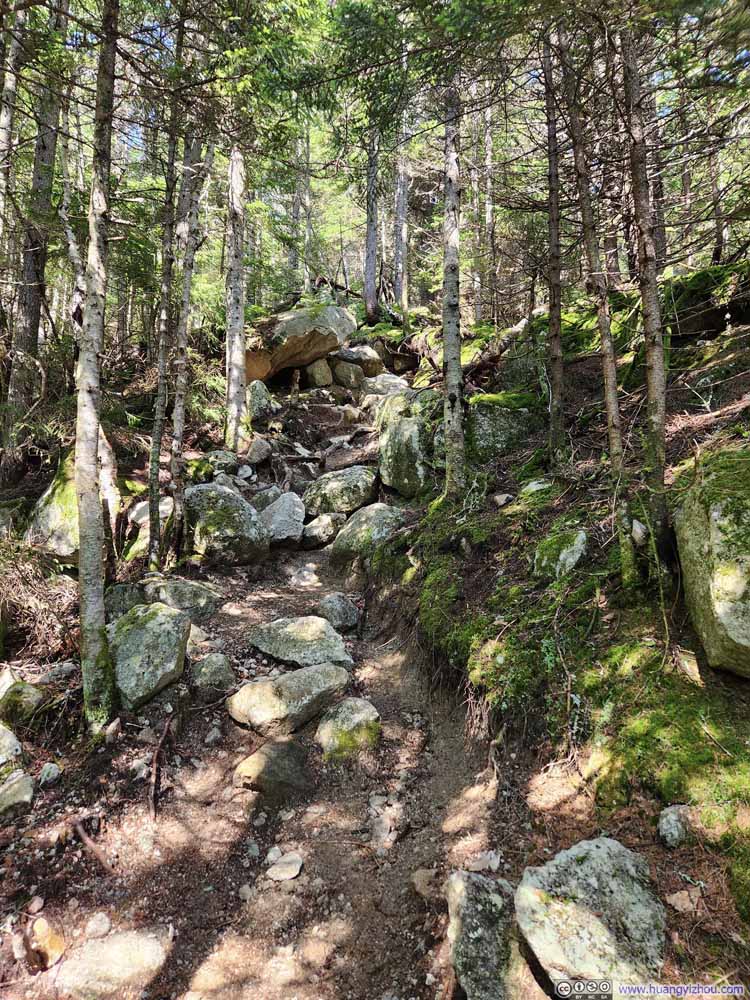 Trail