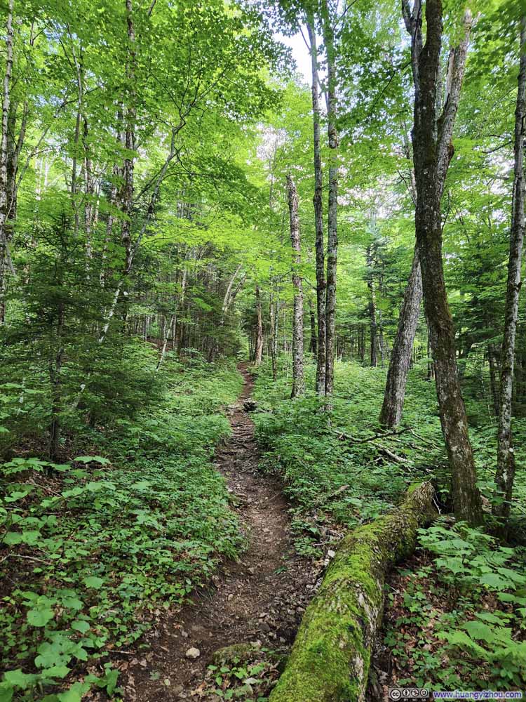 Trail