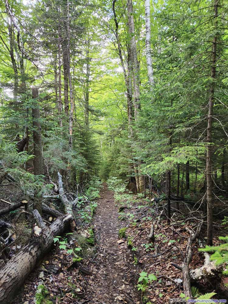 Trail