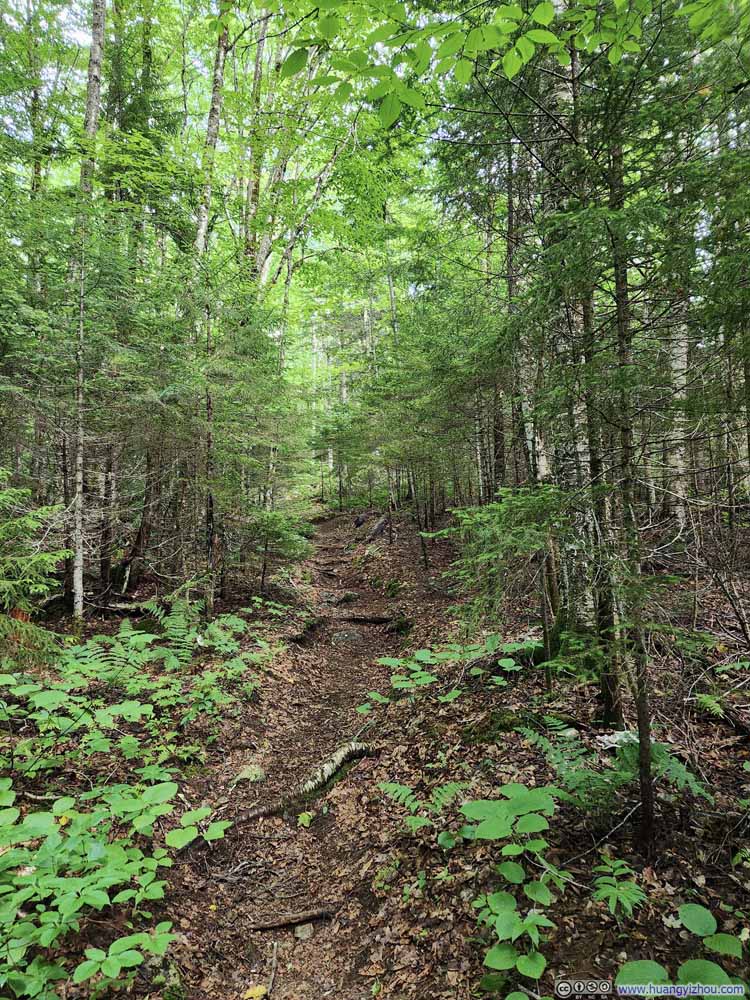 Trail