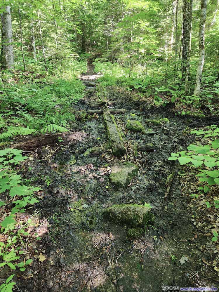 Muddy Trail