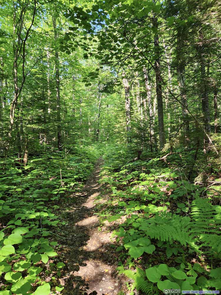 Trail