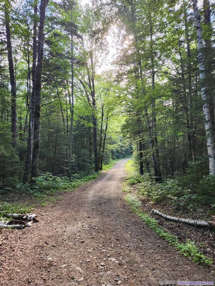 Forest Road