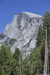 Half Dome from Stoneman Meadow