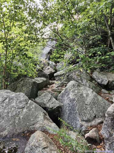 Path Down Mount Percival