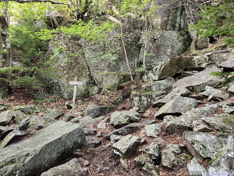 Intersection of Trail