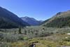 Lackawanna Peak from North Fork Lake Creek Valley