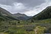 Lackawanna Peak from North Fork Lake Creek Valley