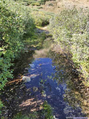 Wet Trail