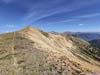 Trail along Ridge