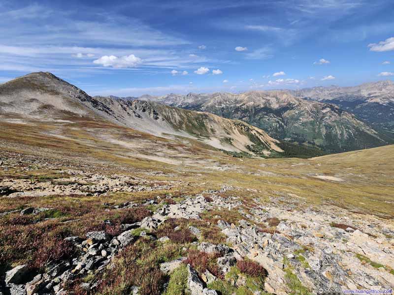 Grassland on Hillside