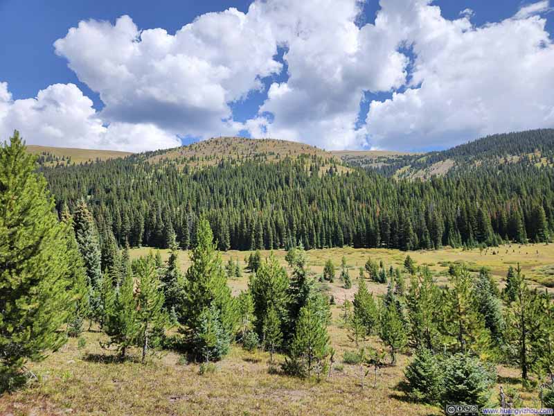 Fields along Trail