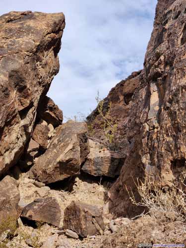 Trail between Boulders