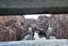 View from Ventilation Tunnel