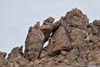 Gaps in Boulders