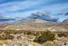 Grapevine Peak
