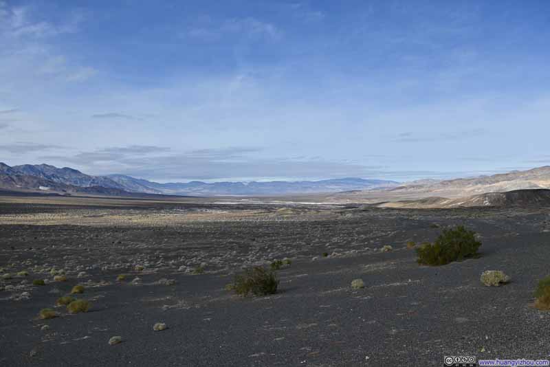 Fields to the North