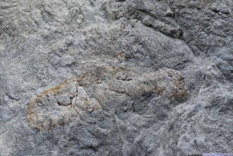 Pattern on Rock