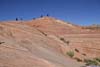 Sandstone with Stripe Patterns