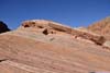 Sandstone with Stripe Patterns