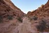Trail in Valley