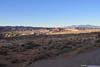 Red Rocks in Field