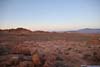Red Rocks in Field