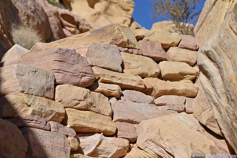 Bricks in Vibrant Colors