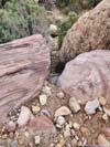 Steep Trail