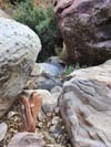 Trail on Boulders