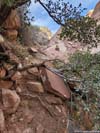 Trail with Obstacle