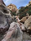 Trail on Rocks