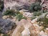 Steep Trail