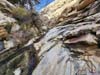 Trail on Rock Surface