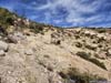 Trail to Mt Wilson