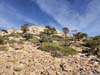 Trail to Mt Wilson