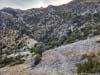 Trail from Mt Wilson
