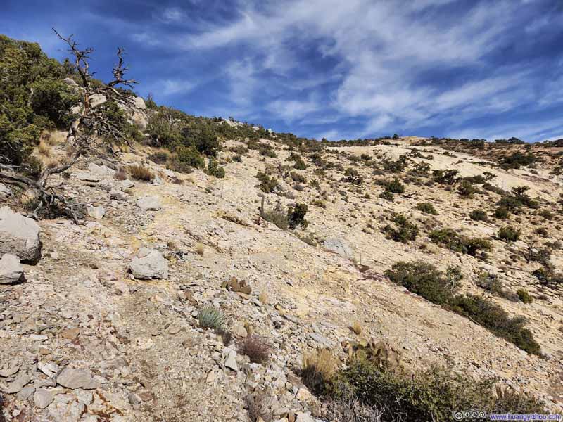 Trail to Mt Wilson