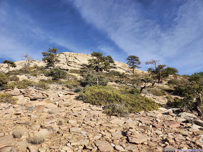 Trail to Mt Wilson