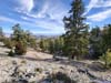 Trail Switchbacks