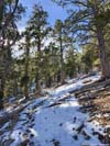Trail
