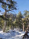 Homestretch before Fletcher Peak