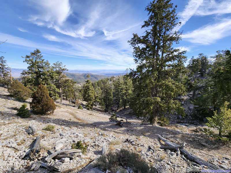 Trail Switchbacks