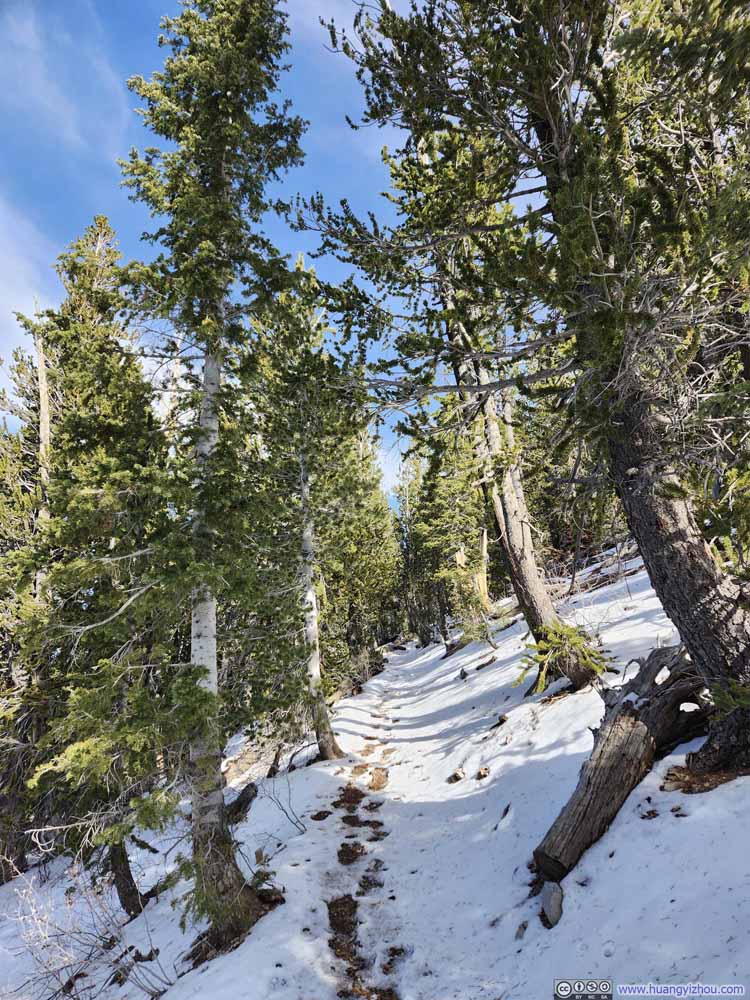 Trail