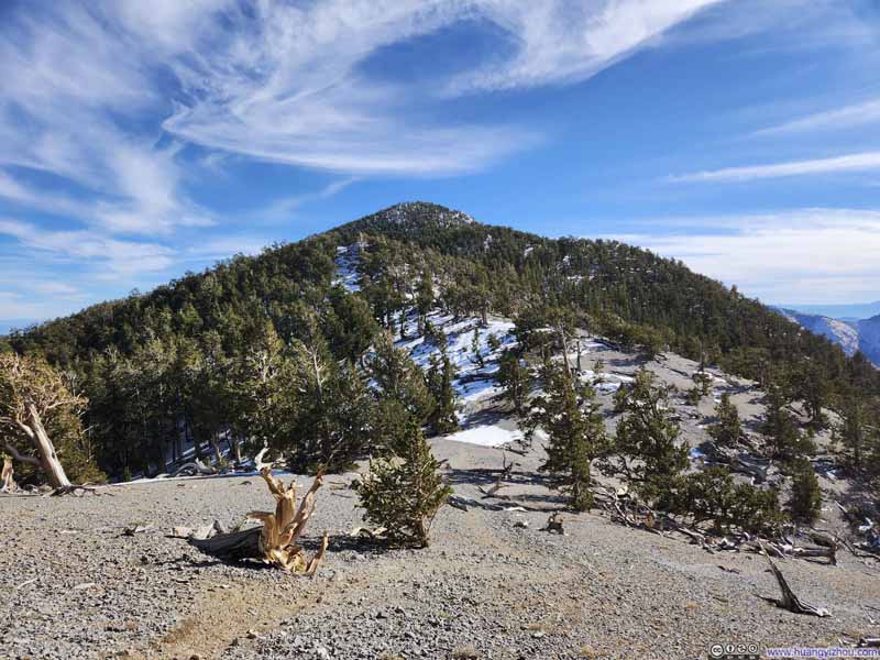 Trail to Fletcher Peak