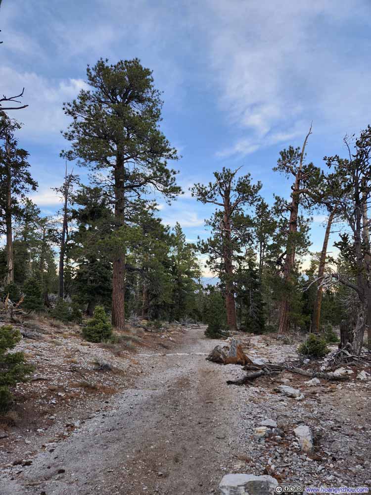 Trail